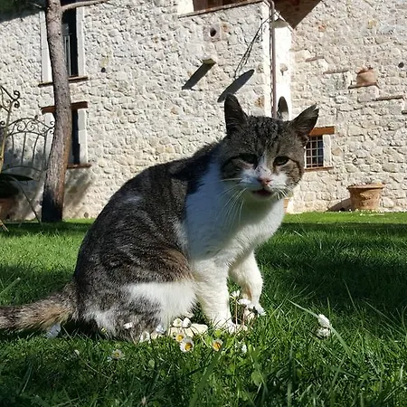 I Terzieri * Ferentillo