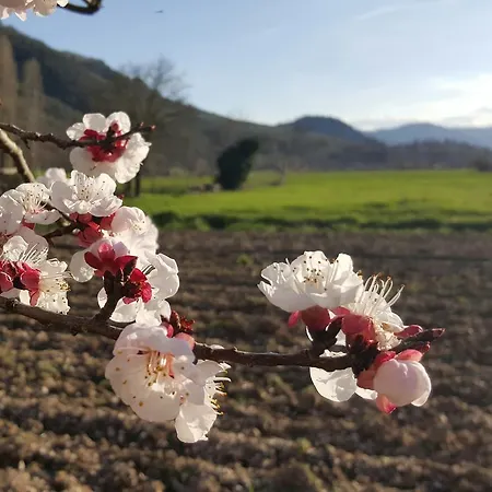 Casa di campagna I Terzieri