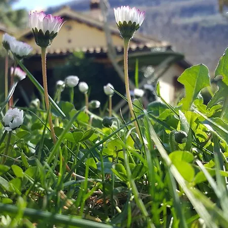 I Terzieri
