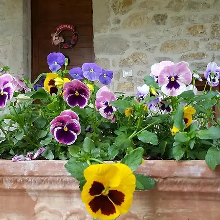I Terzieri Ferentillo