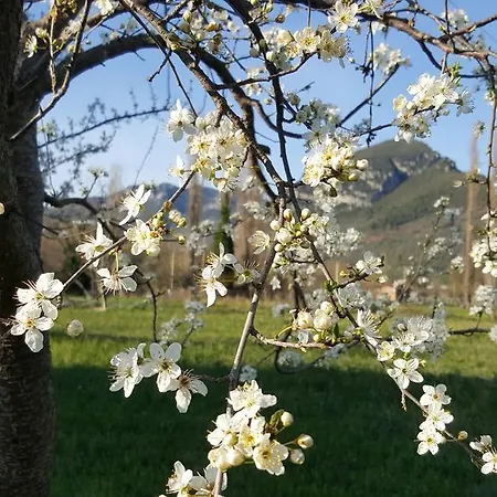 Casa di campagna I Terzieri *