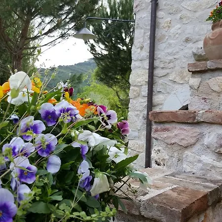 Casa di campagna I Terzieri Ferentillo