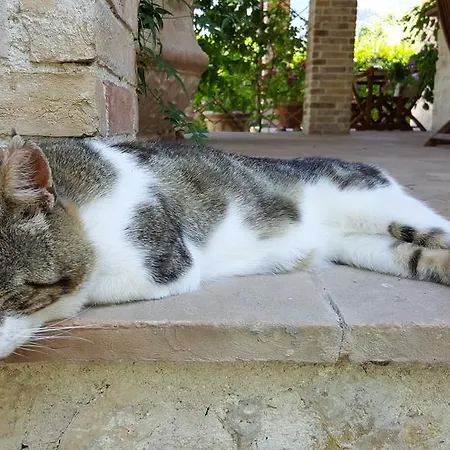 Casa di campagna I Terzieri *