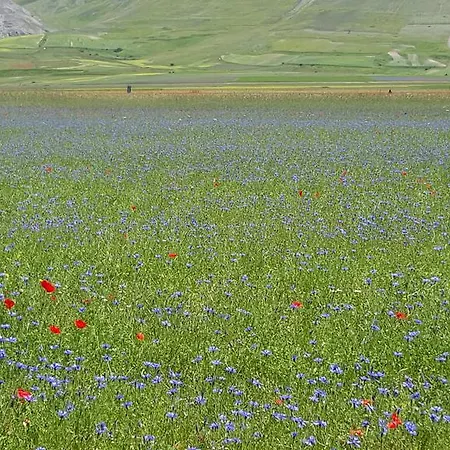 Casa di campagna I Terzieri *